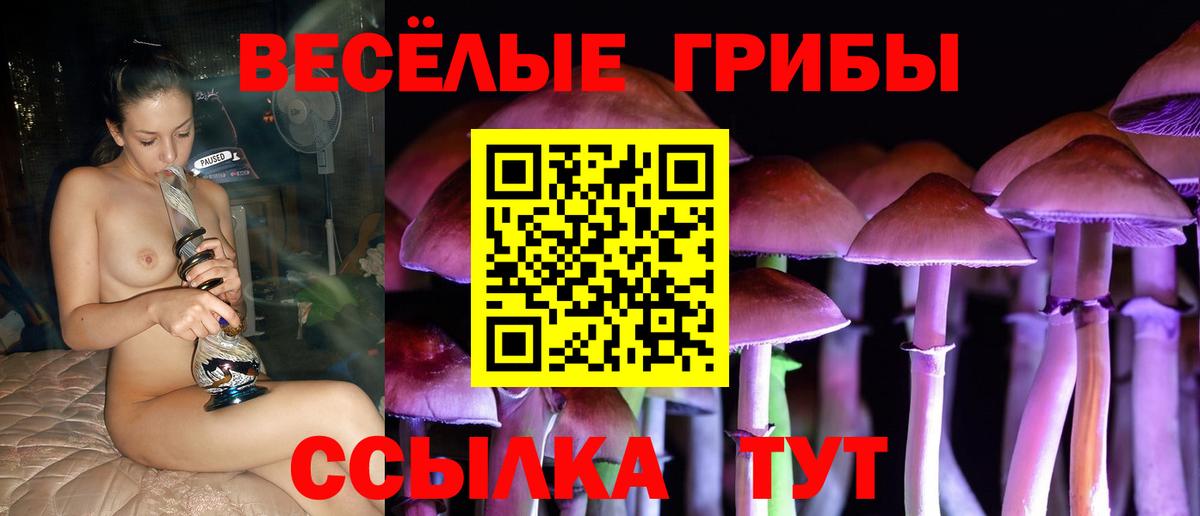 Псилоцибиновые грибы GOLDEN TEACHER  Вход с VPN  Омск 